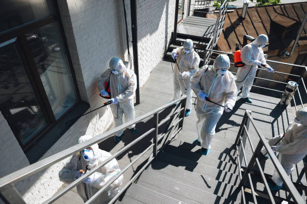 Best Industrial Mold Remediation  in Moulton, AL
