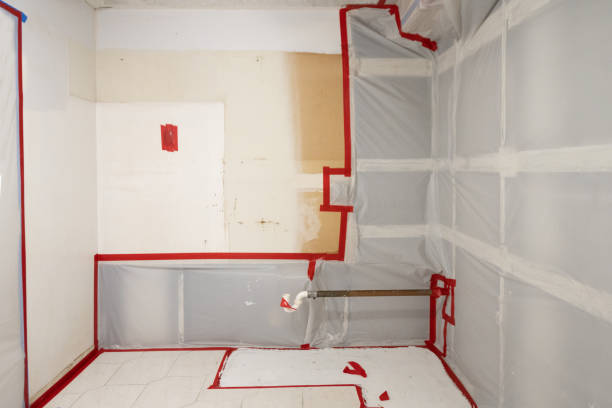 Best Biohazard Mold Removal  in Moulton, AL
