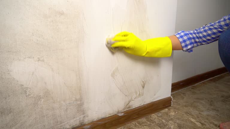 Best Dehumidification Services  in Moulton, AL
