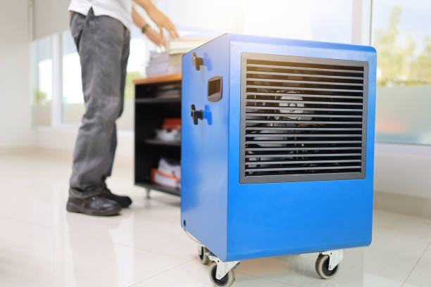 Best Mold Remediation for Healthcare Facilities  in Moulton, AL