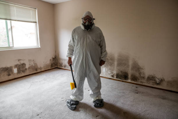 Best Crawl Space Mold Remediation  in Moulton, AL